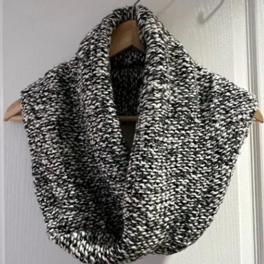 LOFT Knit Circle Infinity Scarf